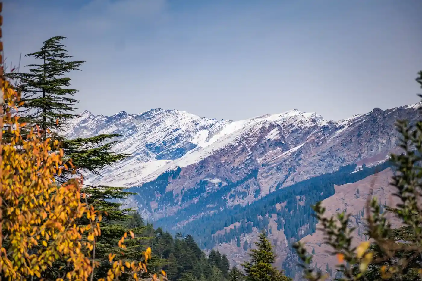 Shimla, Manali & Kasol Tour Package – 7 Nights / 8 Days family-tours package to Himachal Pradesh