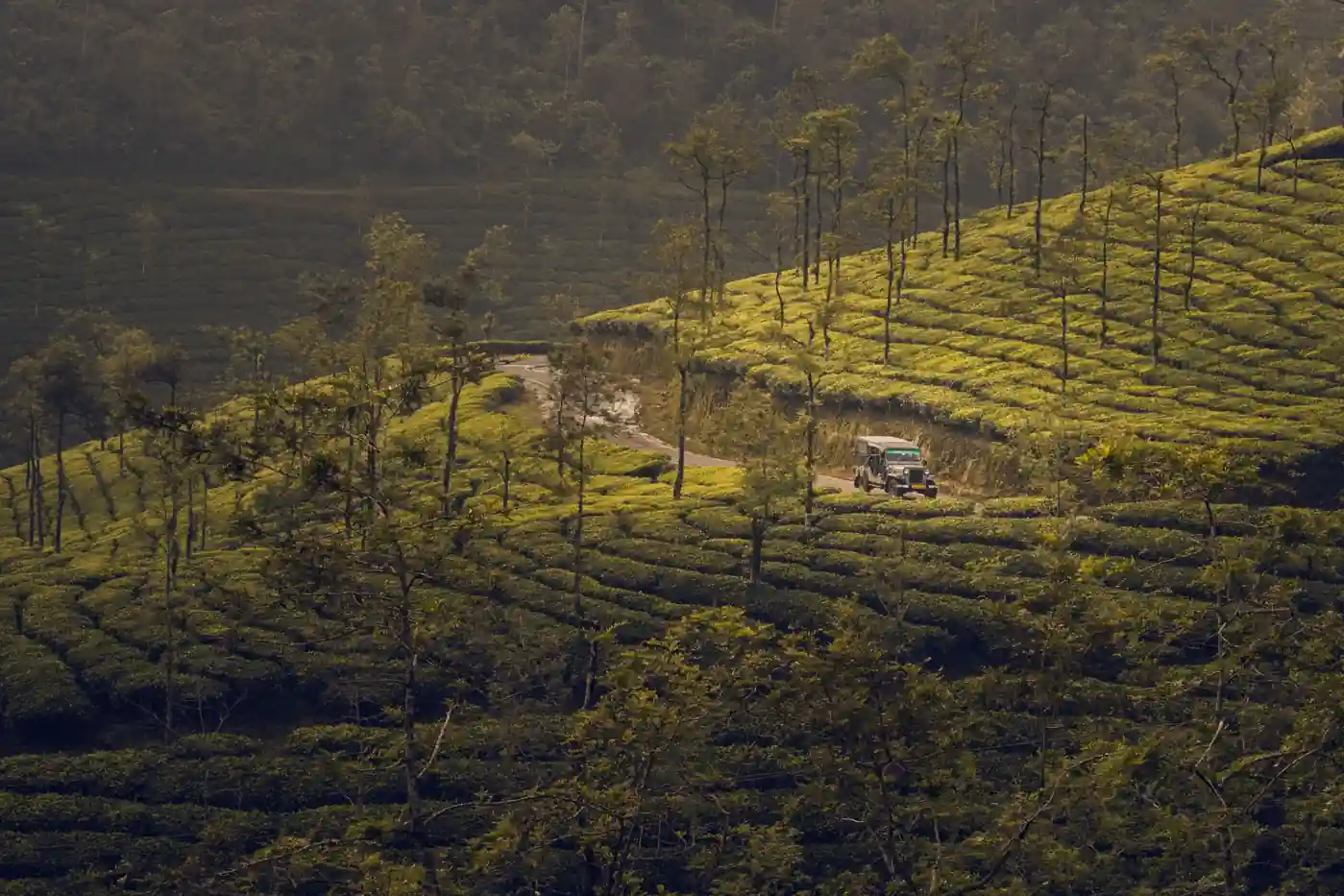 Kochi, Munnar, Thekkady & Alleppey Tour Package – 6 Nights / 7 Days family-tours package to Kerala