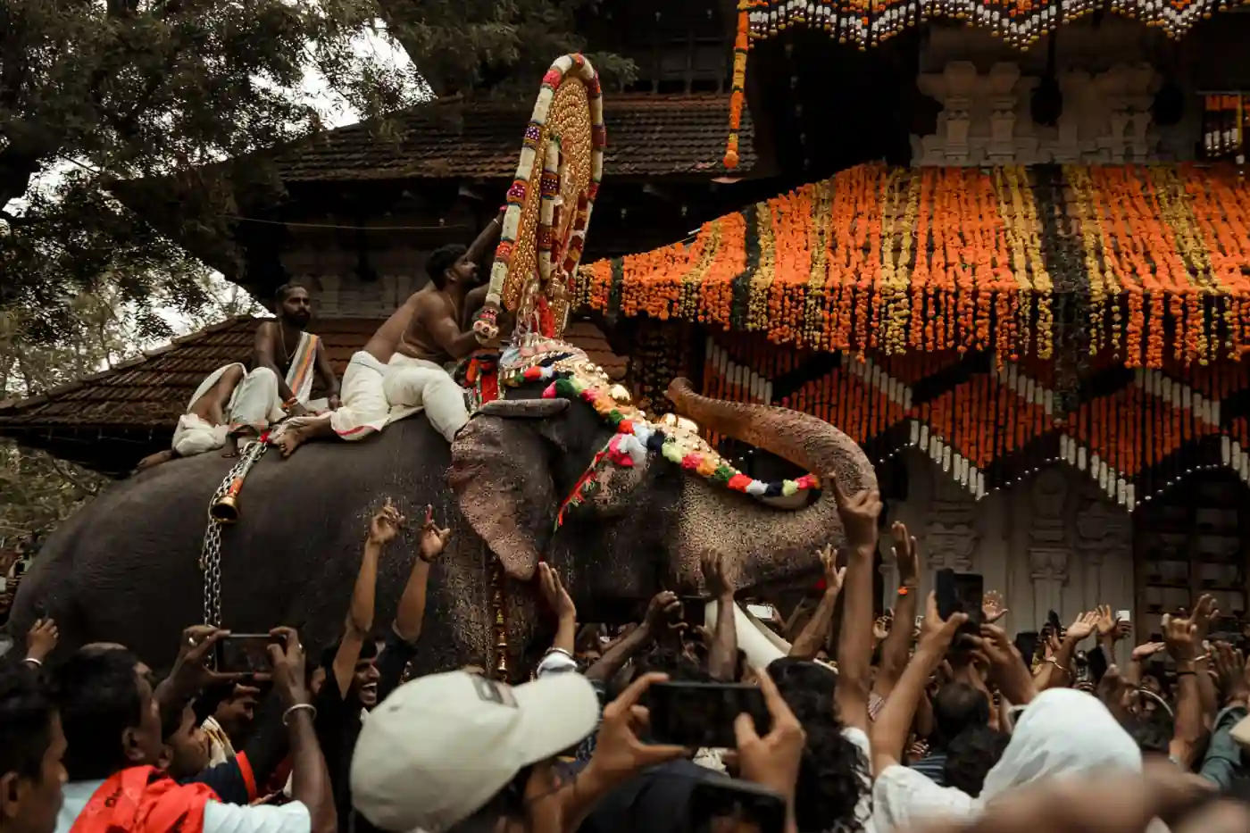 Kerala Wildlife Tour Package – 4 Nights / 5 Days wildlife package to Kerala