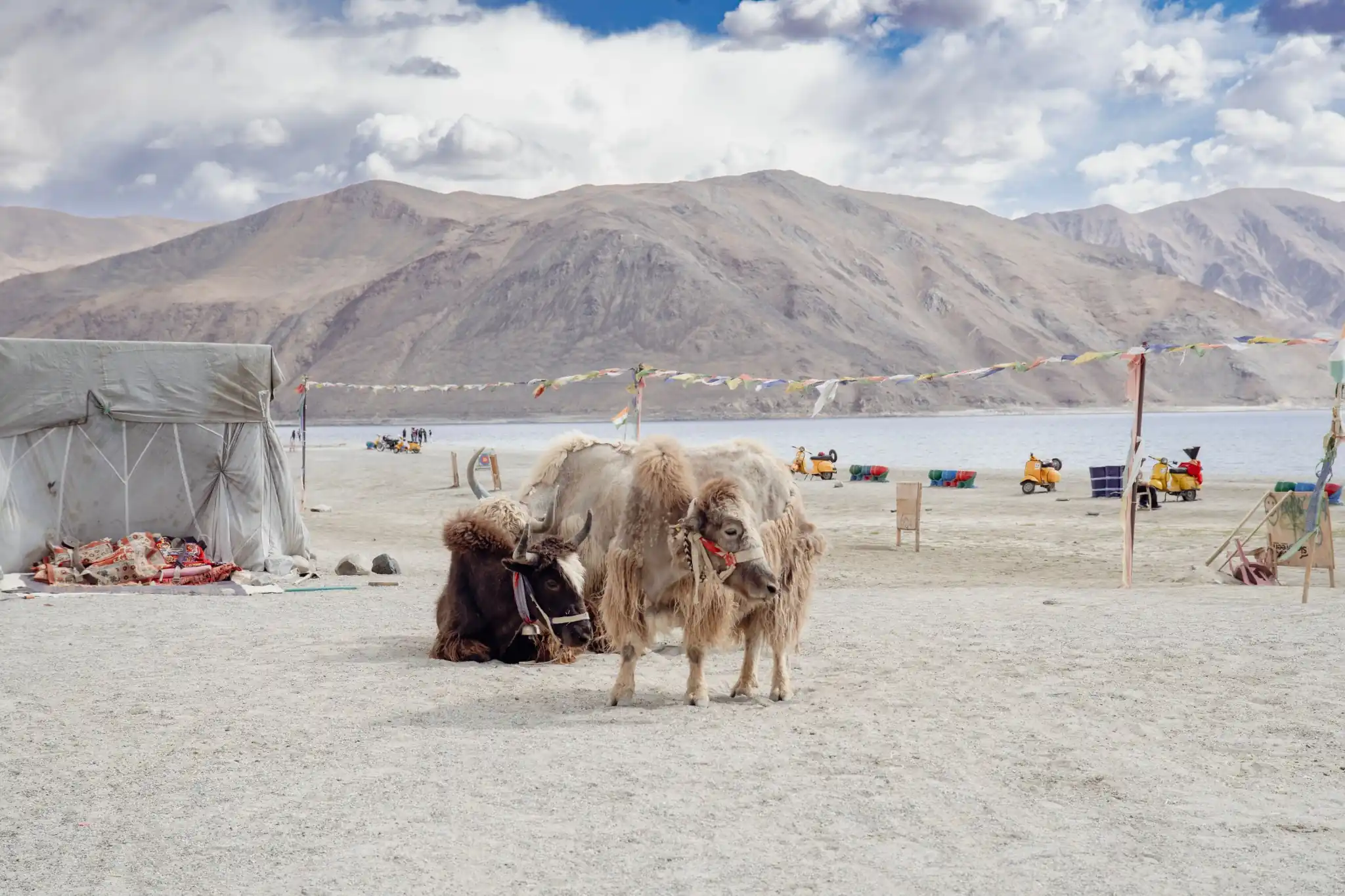 Leh, Nubra Valley, Pangong & Tso Moriri Tour Package – 7 Nights / 8 Days adventure package to Ladakh