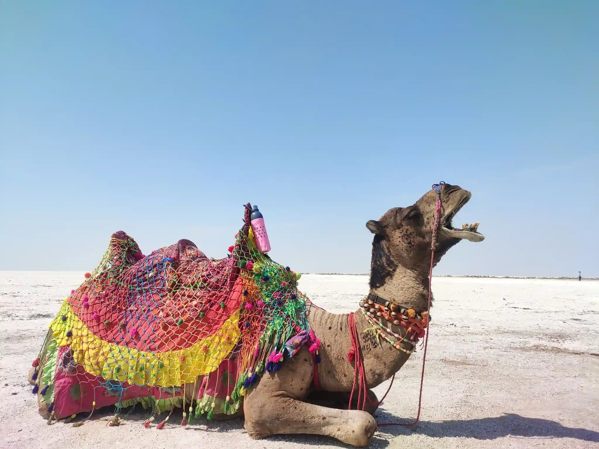 Rann of Kutch Tour Package – 3 Nights / 4 Days desert package to Gujarat